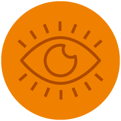 Eye Icon